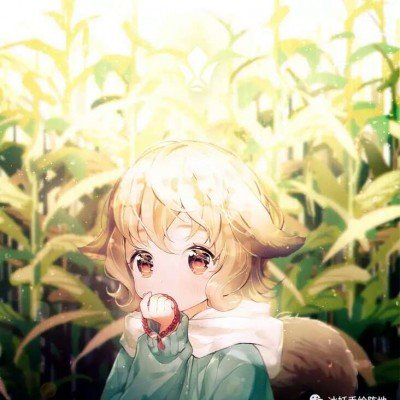 伊朗称再次击落美军F-35战斗机